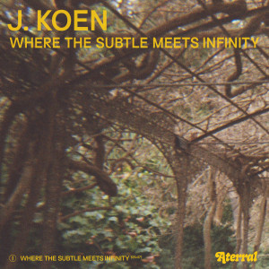 J. Koen的專輯Where the Subtle Meets Infinity
