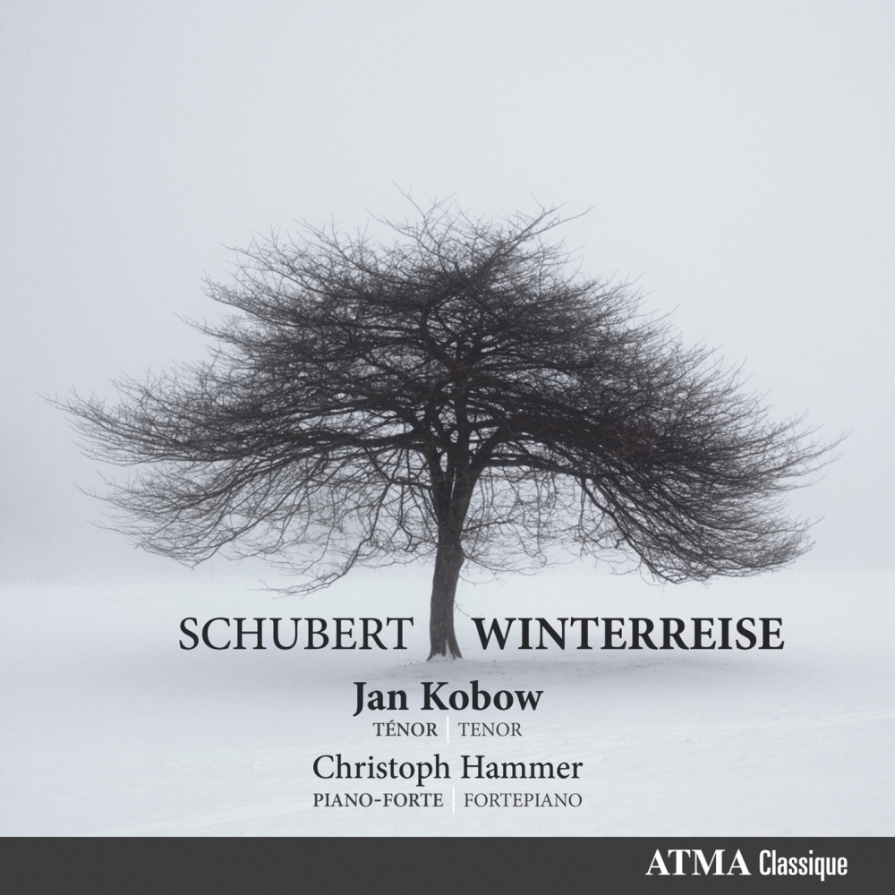 Schubert: Winterreise, D. 911: Der Leiermann