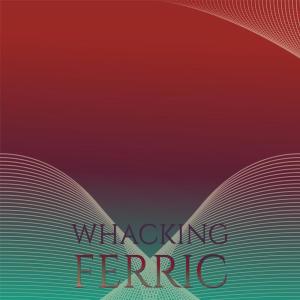 Various Artists的專輯Whacking Ferric