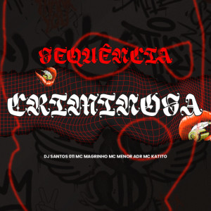 Album SEQUÊNCIA CRIMINOSA (Explicit) from 