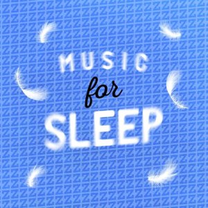 ดาวน์โหลดและฟังเพลง Music for Sleep Yoga พร้อมเนื้อเพลงจาก ดารานักร้องหลายคน