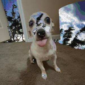 收聽chapters226的Scarecrow (feat. birutaboy!) (Explicit)歌詞歌曲