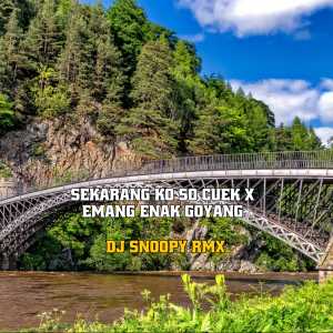 Dengarkan lagu Sekarang Ko So Cuek / Emang Enak Goyang nyanyian Dj Snoopy Rmx dengan lirik
