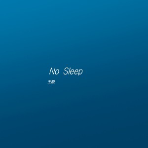 Dengarkan No Sleep lagu dari 王极 dengan lirik