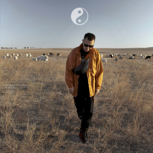 Listen to Инь Янь (Explicit) song with lyrics from Damir Frank