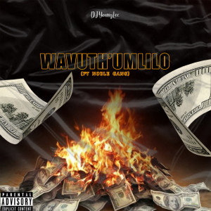 Listen to Wavuth'umlilo (Explicit) song with lyrics from DJ Young Lee