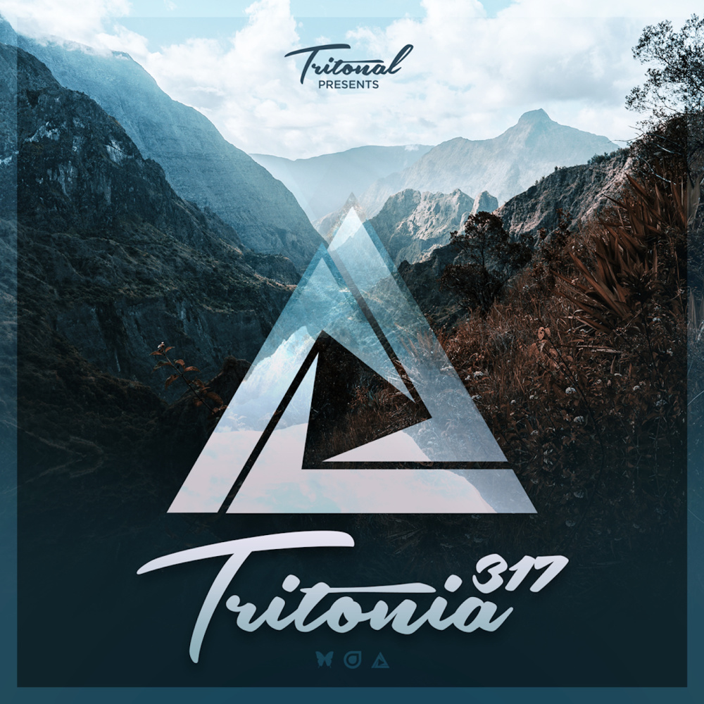 Down(Tritonia 317) (Original Mix)