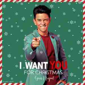 I Want You For Christmas