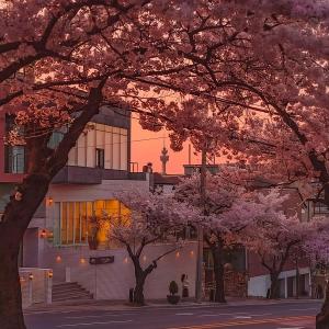 ดาวน์โหลดและฟังเพลง nothing the same (Explicit) พร้อมเนื้อเพลงจาก shoruda