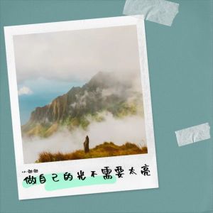 Listen to 追自己的光 不需要太亮 (伴奏) song with lyrics from 小佳