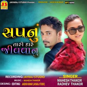 Mahesh Thakor的專輯Sapnu Tari Hare Jivvanu (Explicit)