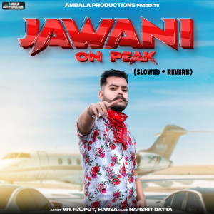 Album Jawani On Peak  (Slowed + Reverb) from 