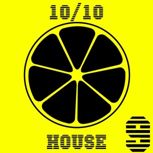 Album 10/10 House, Vol. 9 from Various
