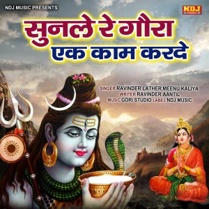 Listen to Sunle Re Gora Ek Kam Karde song with lyrics from Ritu Koshik