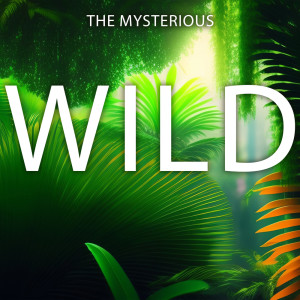 Listen to Wild Soul song with lyrics from Hypnosis Nature Sounds Universe