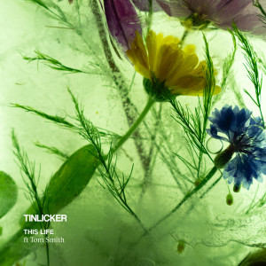Album This Life (feat. Tom Smith) oleh Tinlicker