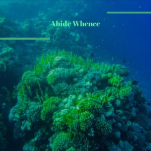 收听Gert Zaze的Remain It歌词歌曲