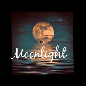 Listen to Moonlight song with lyrics from Kyng