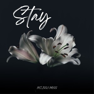 ดาวน์โหลดและฟังเพลง Stay พร้อมเนื้อเพลงจาก Melissa Moss