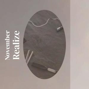 Album November Realize from Various