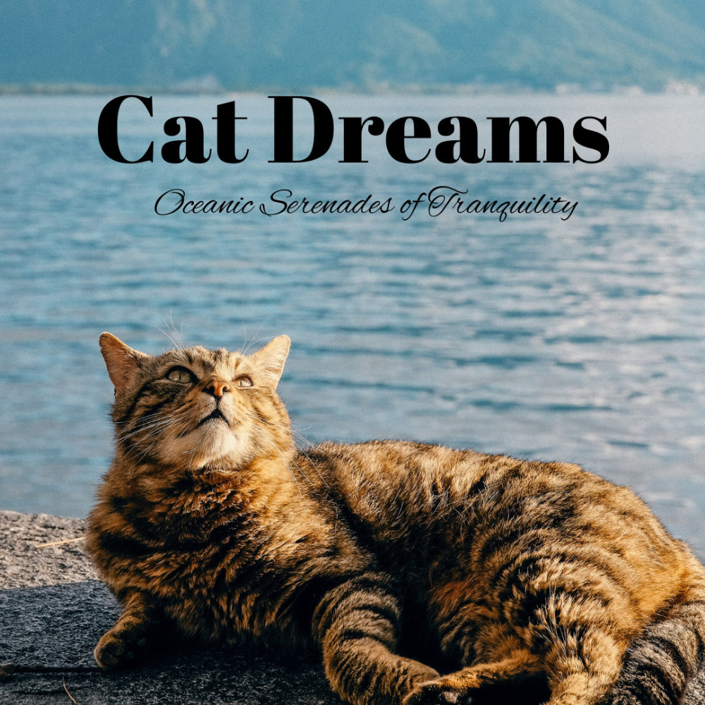 Oceanic Cat Whispers