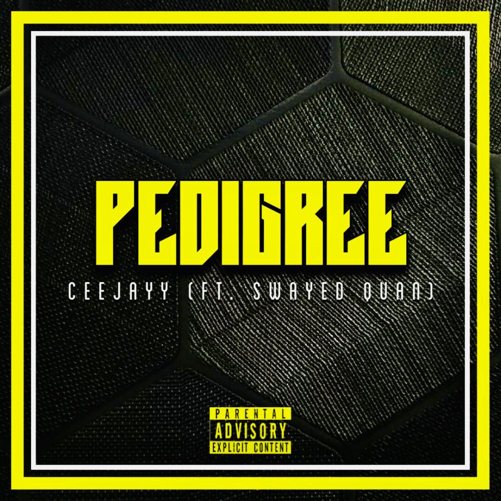 Pedigree (feat. Swayed Quan) (Explicit)