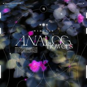 收聽Mindyle的Analog Flowers歌詞歌曲