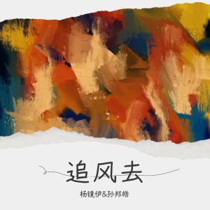 Album 追风去 from 
