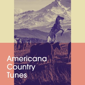 อัลบัม Americana Country Tunes ศิลปิน Country And Western