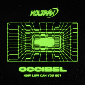 ดาวน์โหลดและฟังเพลง How Low Can You Go พร้อมเนื้อเพลงจาก Occibel