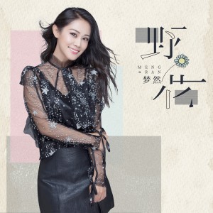 Listen to 野花 song with lyrics from 梦然
