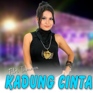 收听Fitri Tamara的Kadung Cinta歌词歌曲