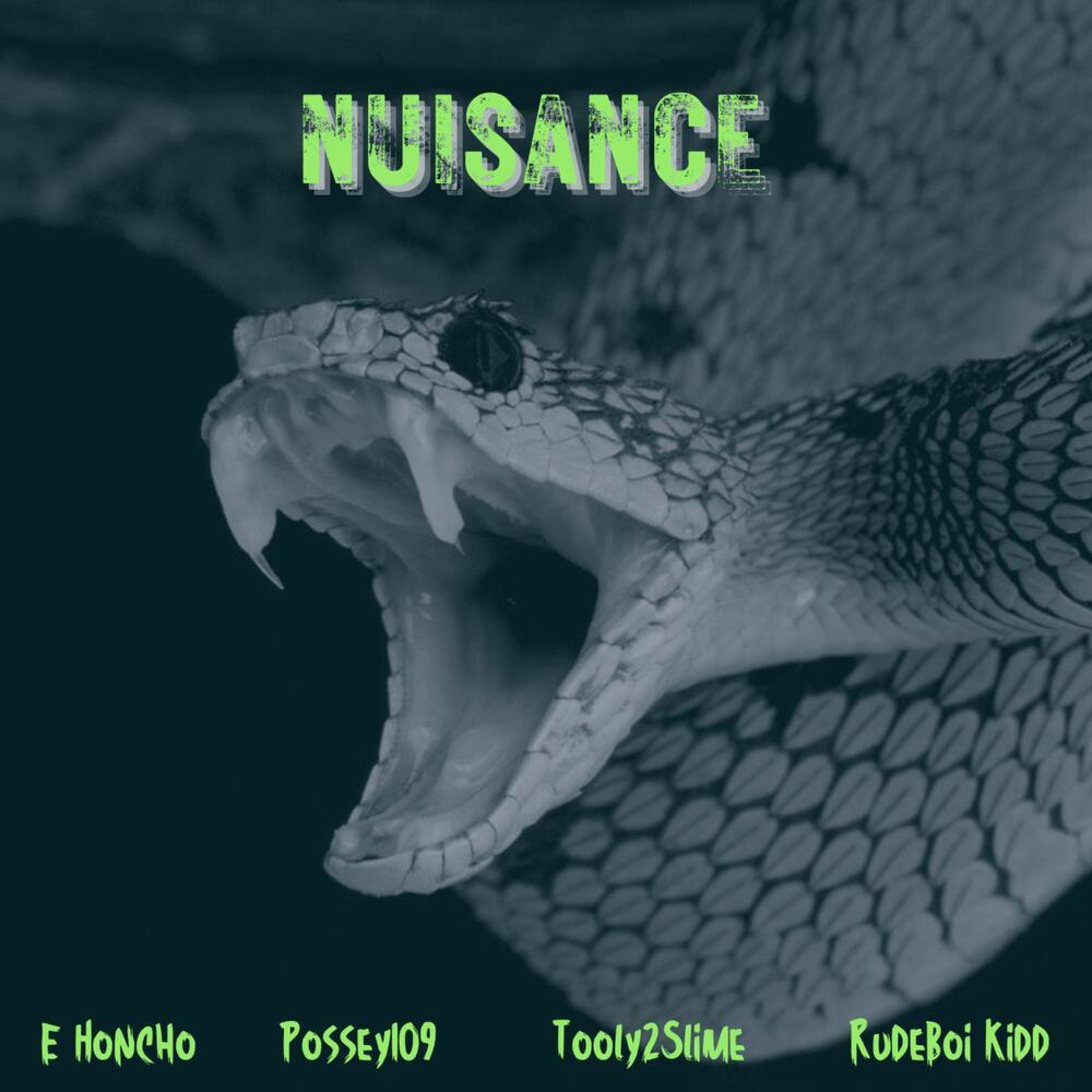 Nuisance (Explicit)
