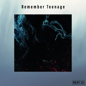 อัลบัม Remember Teenage Beat 22 ศิลปิน Various Artists