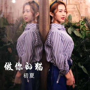 初夏的专辑做你的猫