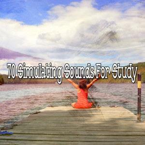 Album 70 Simulating Sounds for Study oleh Meditation