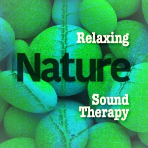 ดาวน์โหลดและฟังเพลง Birds of the Woods พร้อมเนื้อเพลงจาก Relaxing and Healing Sounds of Nature