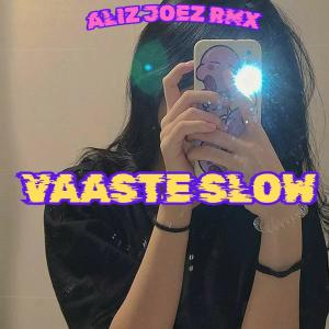ALIZ JOEZ的專輯VAASTE (Slow Mix)