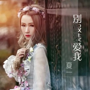 Album 别假装爱我 from 夏一