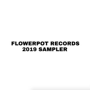 Album Flowerpot Records 2019 Sampler from Various
