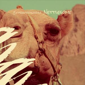 Album Extraordinarily Nettlesome from 