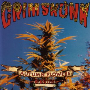 Album Autumn Flowers (Rerolled) from GrimSkunk