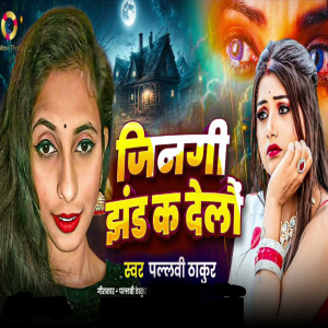 Album Zindagi Jhand Ka Delo from Pallavi Thakur