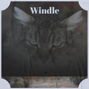 收聽MLing的Windle歌詞歌曲