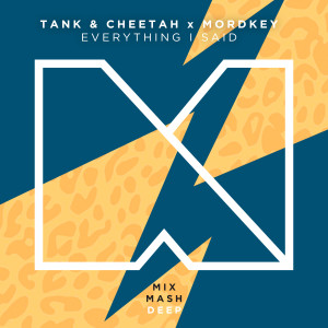 ดาวน์โหลดและฟังเพลง Everything I Said (Radio Edit) พร้อมเนื้อเพลงจาก Tank & Cheetah