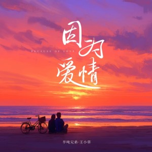 Album 因为爱情（依然随时可以为你疯狂） oleh 王小草