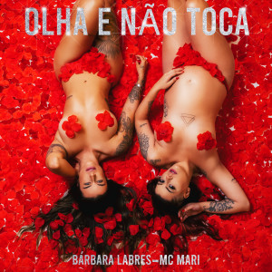 收聽Bárbara Labres的OLHA E NÃO TOCA歌詞歌曲