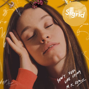 收聽Sigrid的Don’t Feel Like Crying (MK Remix)歌詞歌曲