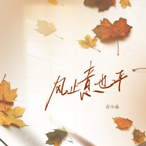 收聽袁小葳的風止意也平歌詞歌曲