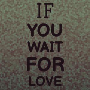 อัลบัม If You Wait for Love ศิลปิน Silvia Natiello-Spiller